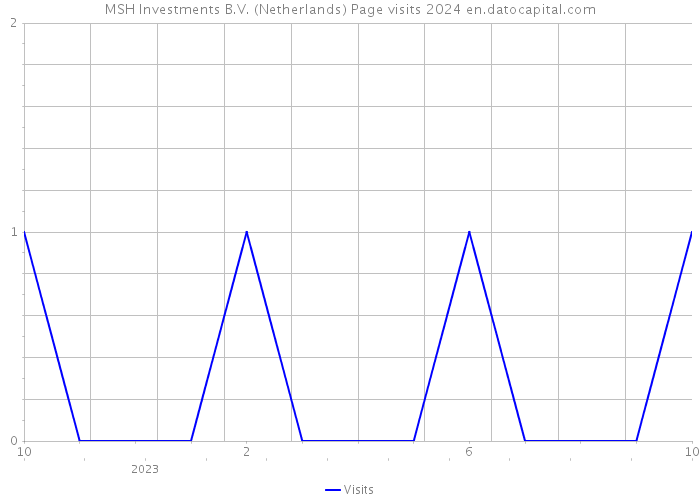 MSH Investments B.V. (Netherlands) Page visits 2024 