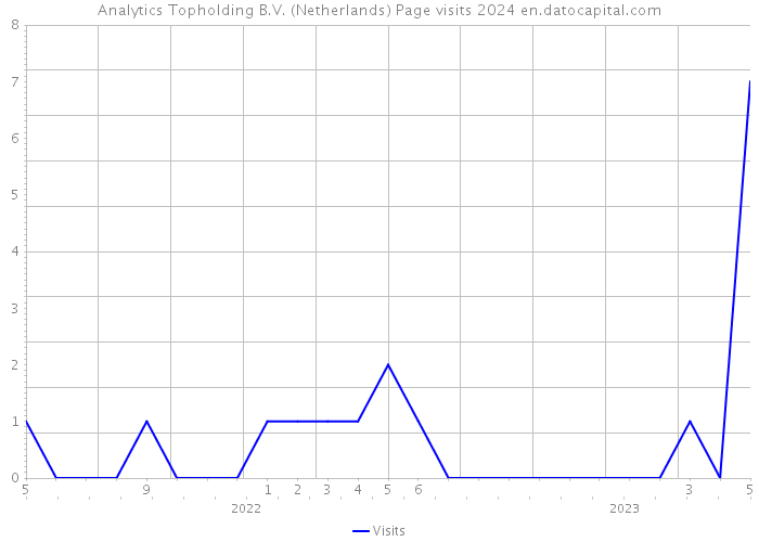 Analytics Topholding B.V. (Netherlands) Page visits 2024 