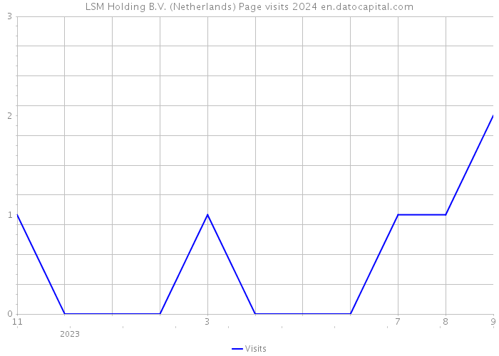 LSM Holding B.V. (Netherlands) Page visits 2024 