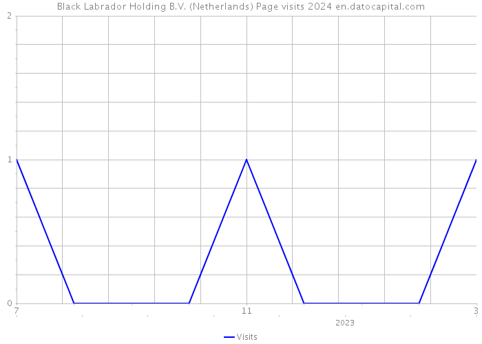 Black Labrador Holding B.V. (Netherlands) Page visits 2024 