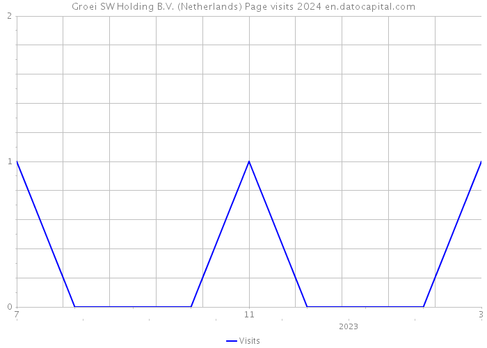 Groei SW Holding B.V. (Netherlands) Page visits 2024 