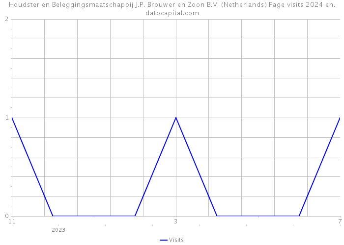 Houdster en Beleggingsmaatschappij J.P. Brouwer en Zoon B.V. (Netherlands) Page visits 2024 