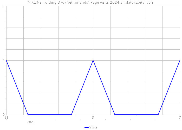 NIKE NZ Holding B.V. (Netherlands) Page visits 2024 