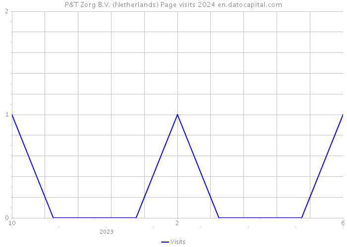 P&T Zorg B.V. (Netherlands) Page visits 2024 