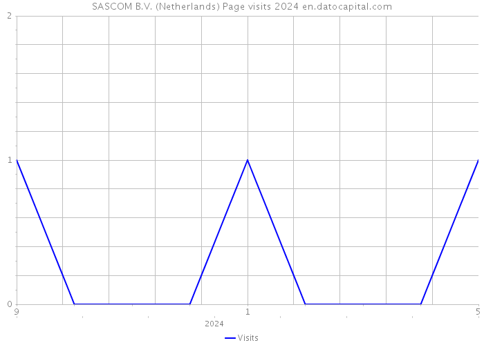 SASCOM B.V. (Netherlands) Page visits 2024 