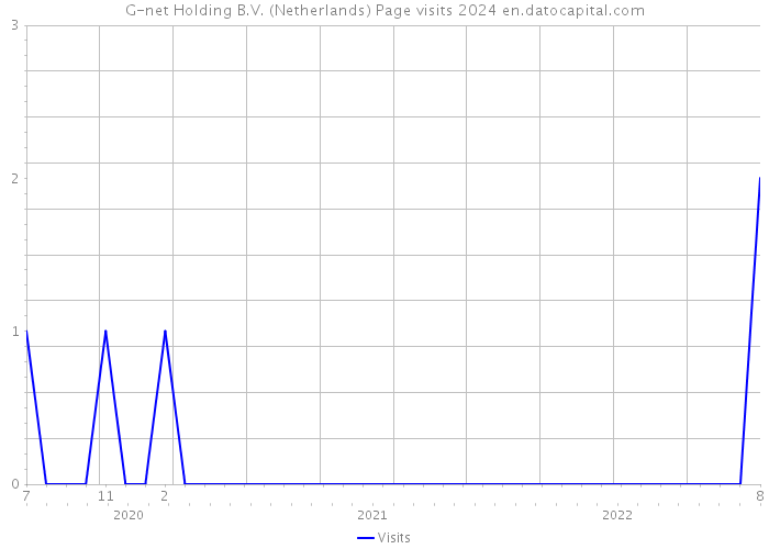 G-net Holding B.V. (Netherlands) Page visits 2024 
