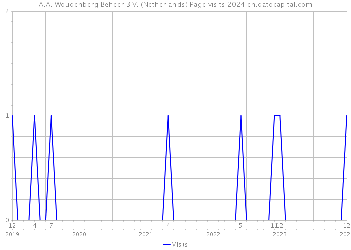 A.A. Woudenberg Beheer B.V. (Netherlands) Page visits 2024 