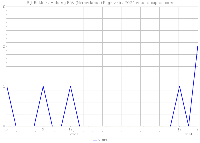 R.J. Bokkers Holding B.V. (Netherlands) Page visits 2024 