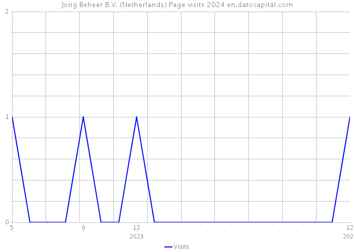 Jong Beheer B.V. (Netherlands) Page visits 2024 