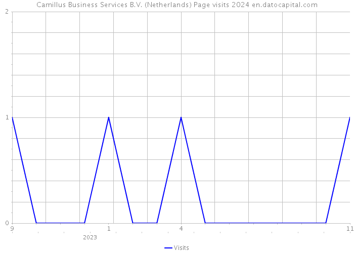 Camillus Business Services B.V. (Netherlands) Page visits 2024 