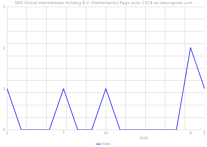 SMS Global Intermediate Holding B.V. (Netherlands) Page visits 2024 