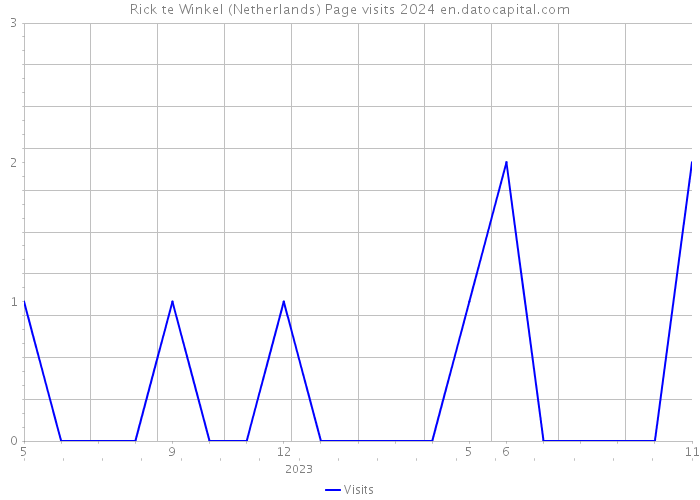Rick te Winkel (Netherlands) Page visits 2024 