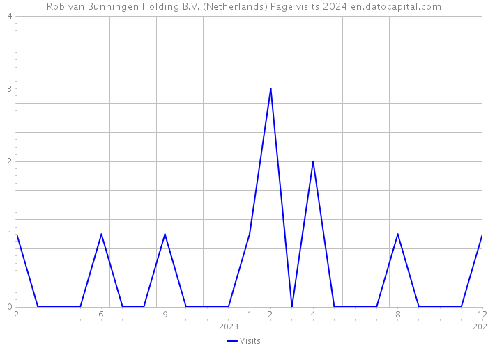 Rob van Bunningen Holding B.V. (Netherlands) Page visits 2024 
