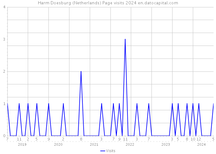 Harm Doesburg (Netherlands) Page visits 2024 