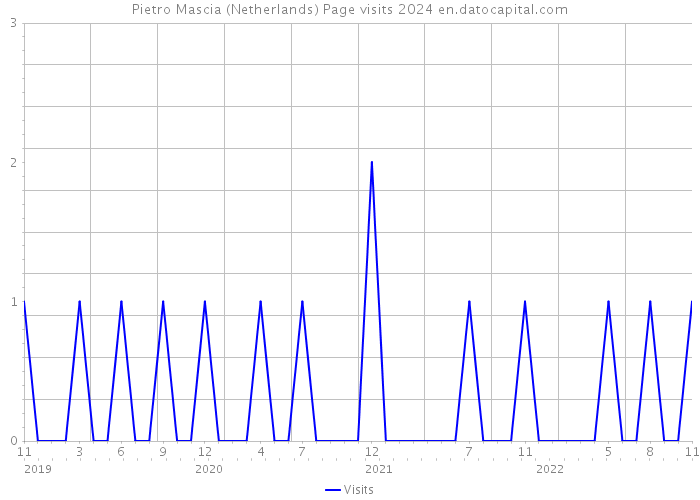 Pietro Mascia (Netherlands) Page visits 2024 