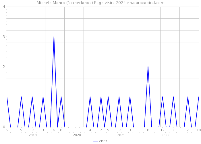 Michele Manto (Netherlands) Page visits 2024 