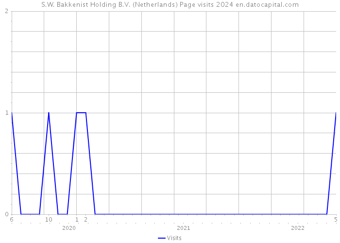 S.W. Bakkenist Holding B.V. (Netherlands) Page visits 2024 