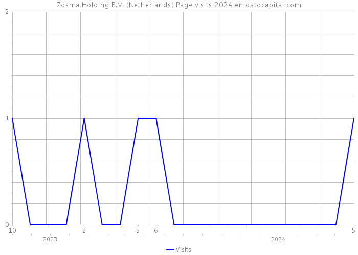 Zosma Holding B.V. (Netherlands) Page visits 2024 