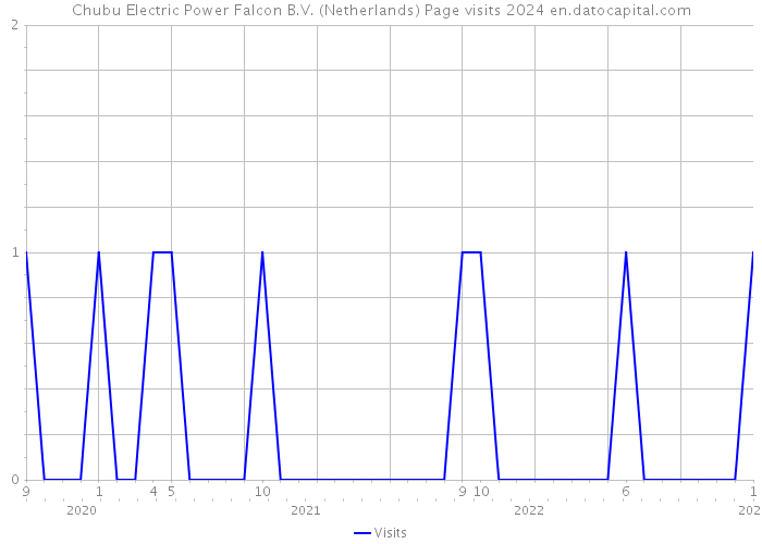 Chubu Electric Power Falcon B.V. (Netherlands) Page visits 2024 