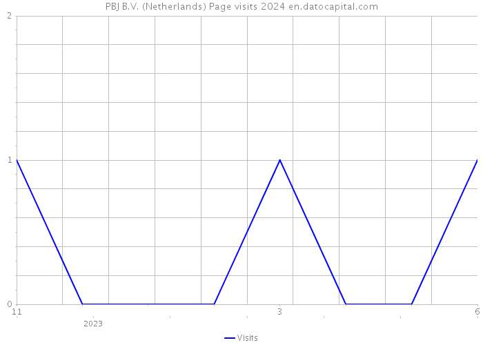 PBJ B.V. (Netherlands) Page visits 2024 