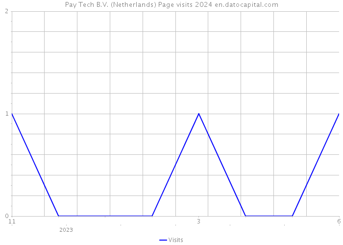 Pay Tech B.V. (Netherlands) Page visits 2024 