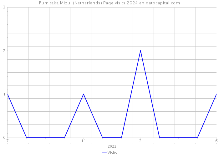 Fumitaka Mizui (Netherlands) Page visits 2024 