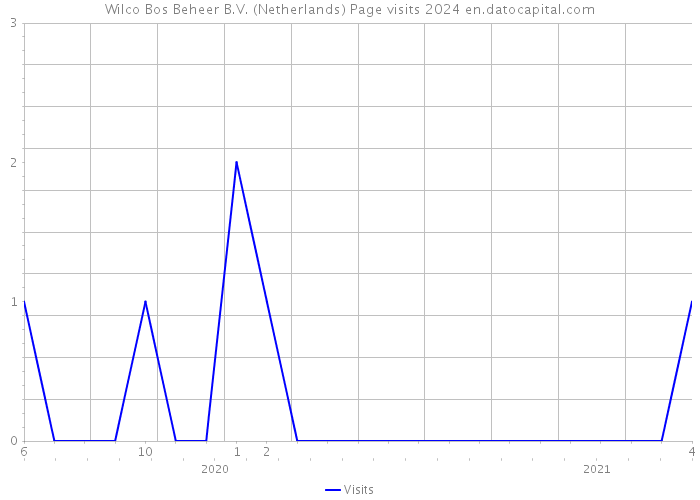 Wilco Bos Beheer B.V. (Netherlands) Page visits 2024 