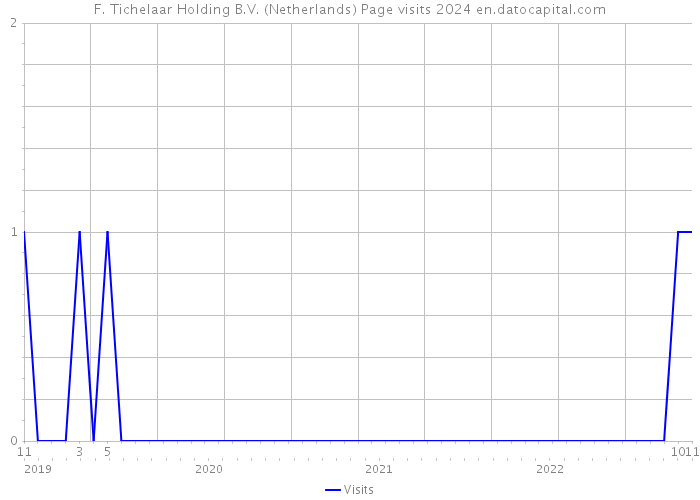 F. Tichelaar Holding B.V. (Netherlands) Page visits 2024 