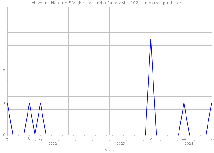 Huybens Holding B.V. (Netherlands) Page visits 2024 