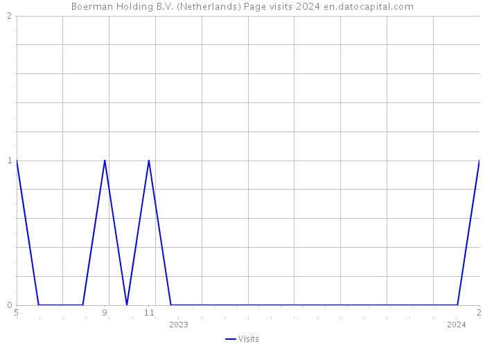 Boerman Holding B.V. (Netherlands) Page visits 2024 