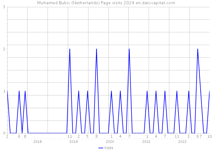 Muhamed Bubic (Netherlands) Page visits 2024 