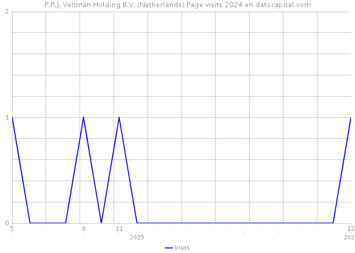 P.P.J. Veltman Holding B.V. (Netherlands) Page visits 2024 