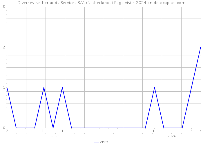 Diversey Netherlands Services B.V. (Netherlands) Page visits 2024 