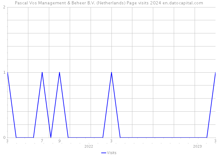 Pascal Vos Management & Beheer B.V. (Netherlands) Page visits 2024 
