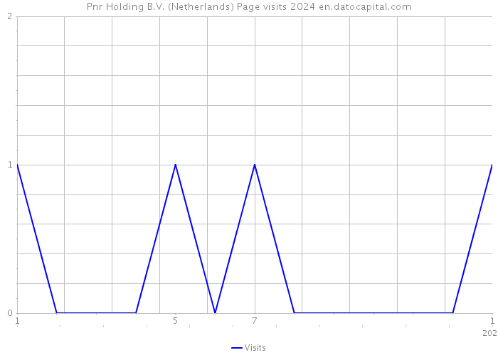 Pnr Holding B.V. (Netherlands) Page visits 2024 