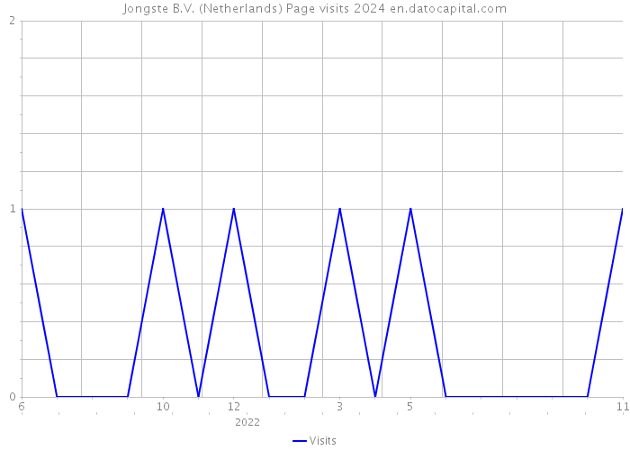 Jongste B.V. (Netherlands) Page visits 2024 