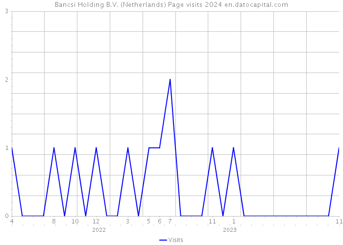 Bancsi Holding B.V. (Netherlands) Page visits 2024 