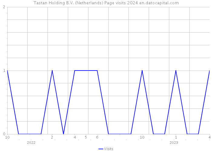 Tastan Holding B.V. (Netherlands) Page visits 2024 