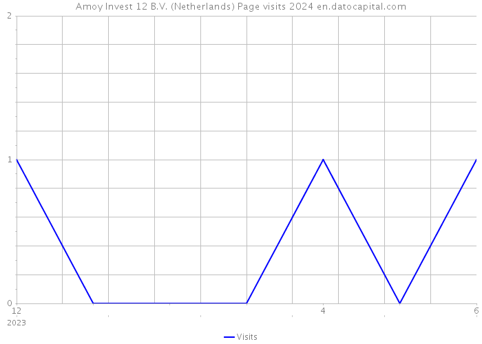 Amoy Invest 12 B.V. (Netherlands) Page visits 2024 