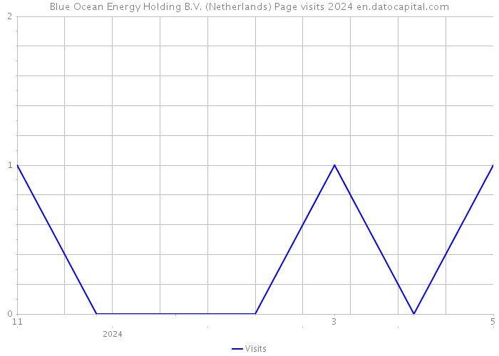 Blue Ocean Energy Holding B.V. (Netherlands) Page visits 2024 
