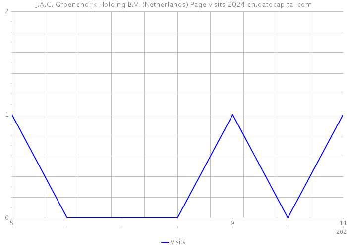 J.A.C. Groenendijk Holding B.V. (Netherlands) Page visits 2024 