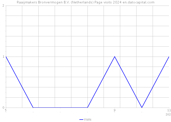 Raaijmakers Bronvermogen B.V. (Netherlands) Page visits 2024 