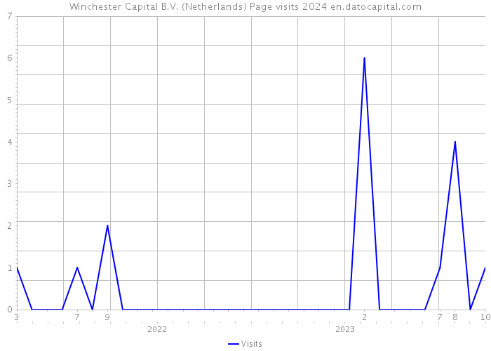 Winchester Capital B.V. (Netherlands) Page visits 2024 