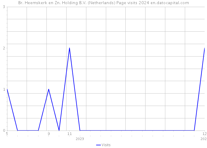 Br. Heemskerk en Zn. Holding B.V. (Netherlands) Page visits 2024 