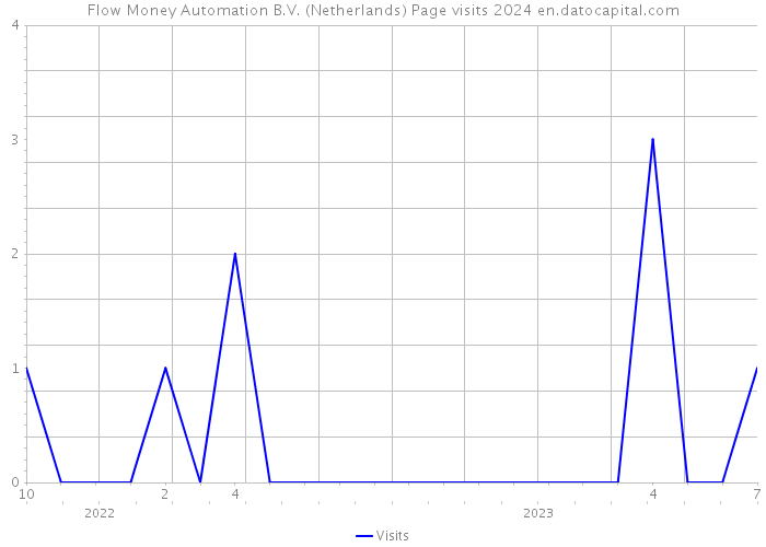Flow Money Automation B.V. (Netherlands) Page visits 2024 