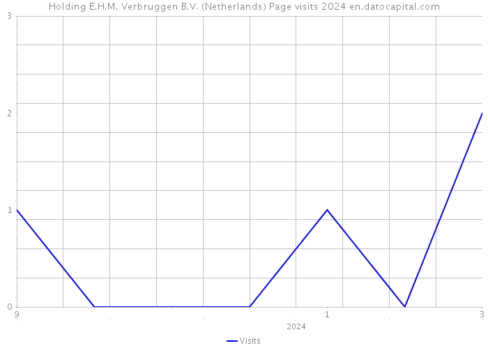 Holding E.H.M. Verbruggen B.V. (Netherlands) Page visits 2024 