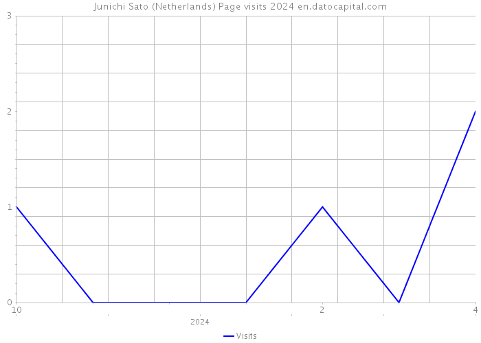 Junichi Sato (Netherlands) Page visits 2024 