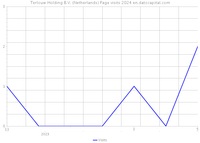 Terlouw Holding B.V. (Netherlands) Page visits 2024 