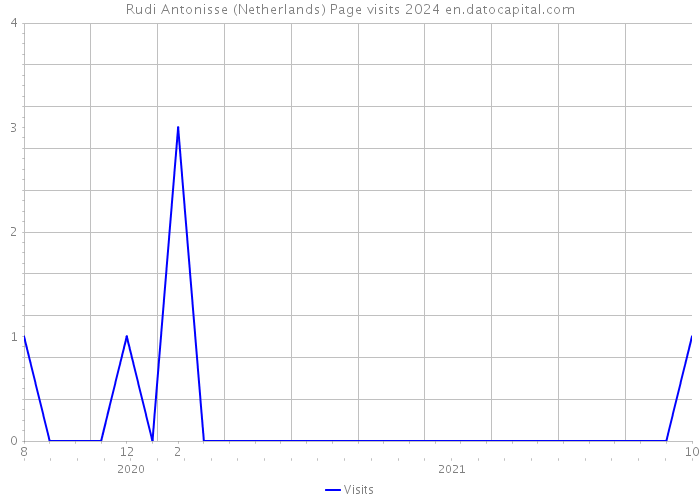 Rudi Antonisse (Netherlands) Page visits 2024 