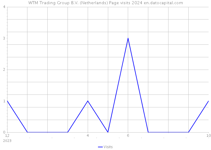 WTM Trading Group B.V. (Netherlands) Page visits 2024 